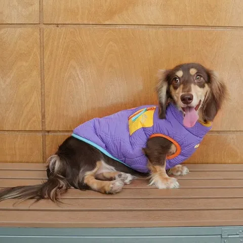Pet Dog Cat Reversible Winter Vest Quilted Fleece Lined Warm Padded Jacket Coat For Small Medium Dogs Dachshund Cats
