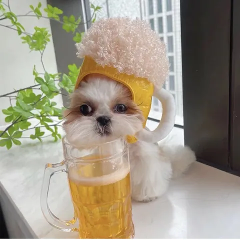 Chapeau Chope de Bière Amusant pour Animaux Costume en Peluche Douce Couvre-chef Créatif pour Chiens et Chats Fête