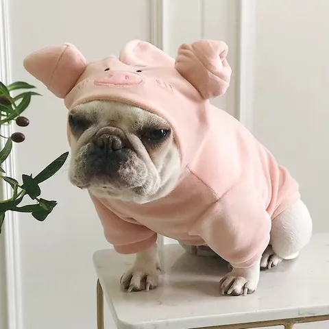 Sudadera con Capucha para Mascota con Forma de Cerdo Lindo Disfraz de Animal de Dibujos Animados de Poliester Rosa con Orejas 3D Expresión Bordada Ropa Abrigo para Perros Gatos Fiesta Diario