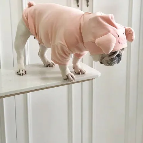 Sudadera con Capucha para Mascota con Forma de Cerdo Lindo Disfraz de Animal de Dibujos Animados de Poliester Rosa con Orejas 3D Expresión Bordada Ropa Abrigo para Perros Gatos Fiesta Diario