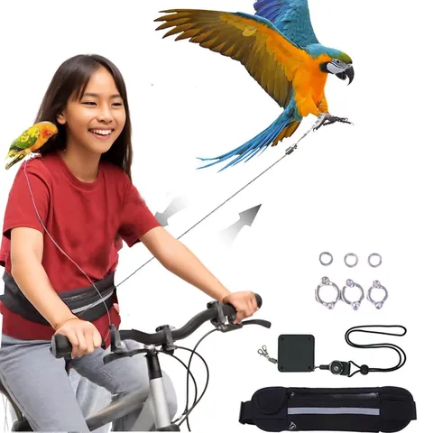 Hands-Free Λουρί Παπαγάλου Με Ανακλαστική Τσάντα Μέσης Ρυθμιζόμενο Σχοινί Έλξης Πουλιών Από Ανοξείδωτο Ατσάλι Για Προπόνηση