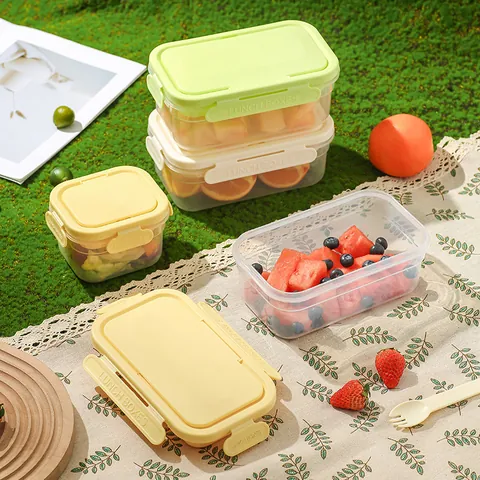 Double Layer Portable Fresh Keeping Box With Ice Pack Leak Proof Lunch Box For Picnic Outdoor Fruit Food Storage PP Container