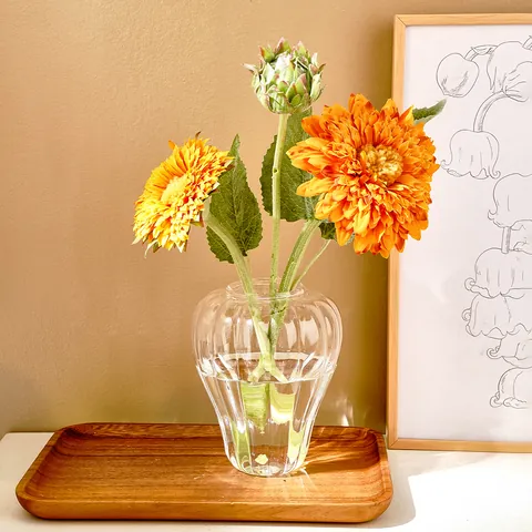 Florero de Vidrio Transparente Forma de Calabaza Estilo Ins Minimalista para Flores Hidropónicas Decoración de Mesa