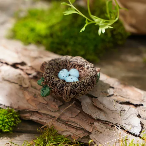 Harz Miniatur Vogelnest Figur Künstliche Waldlandschaft Fotografie Requisiten Pflanzer Dekorative Stillleben Handwerk Ornamente