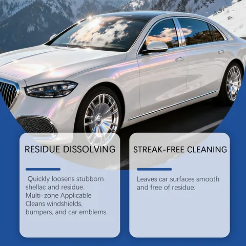 Spray Nettoyant Anti Insectes Voiture Nettoyage Surface Automobile Restauration Taches Amélioration Brillance Entretien Liquide