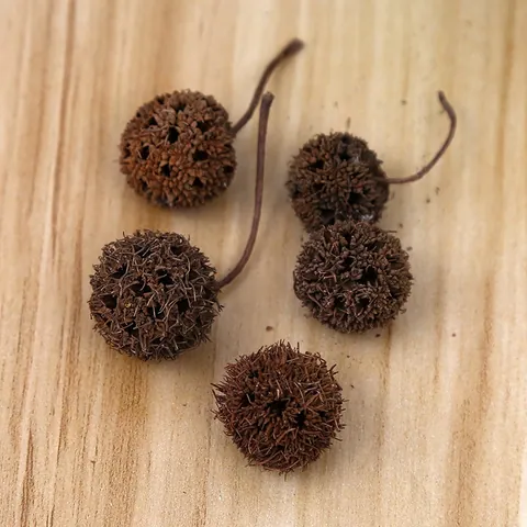 Natural Dried Liquidambar Fruit For ZAKKA DIY Craft Christmas Tree Decorations Vintage Photography Props Brown Maple Fruit Ornament