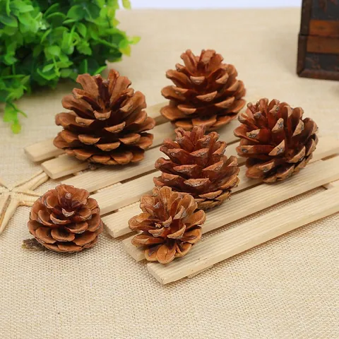 Natural Dried Pine Cones Christmas Decoration Pendants Creative Ornaments Photography Props For Home DIY Craft Rustic Decor