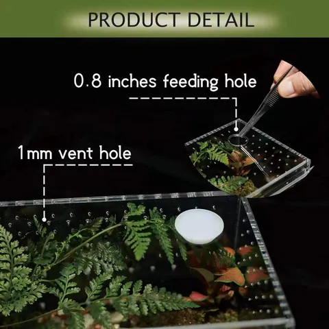 Enclos pour Reptiles en Acrylique Terrarium Transparent Anti Évasion pour Araignées Grillons Lézards Grenouilles Boîte