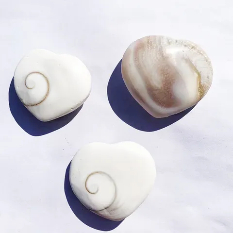 Natural Shiva Eye Shell Heart Round Charms For DIY Jewelry Making Polished Sun Shell Fossil Stone Pendants Accessories