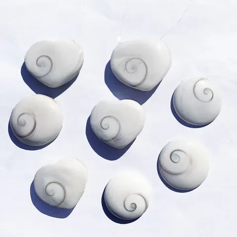 Natural Shiva Eye Shell Heart Round Charms For DIY Jewelry Making Polished Sun Shell Fossil Stone Pendants Accessories