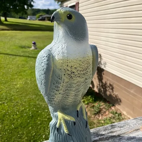 Realistische Simulation Adler Vogelabwehr Statue Garten Hof Outdoor Künstlicher Falke Lockvogel Schädlingsbekämpfung Dekor