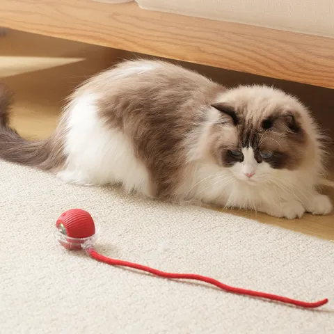 Smart Interactive Pet Ball Toy For Dogs Cats Automatic Moving Jumping Toy With LED Lights Durable Silicone Teasing Ball