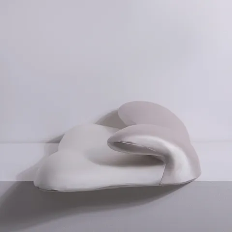 Almohada Viscoelástica Espacial Refrescante Ergonómica Soporte de Cuello Ala de Nube Almohada Cervical de Alta Resiliencia