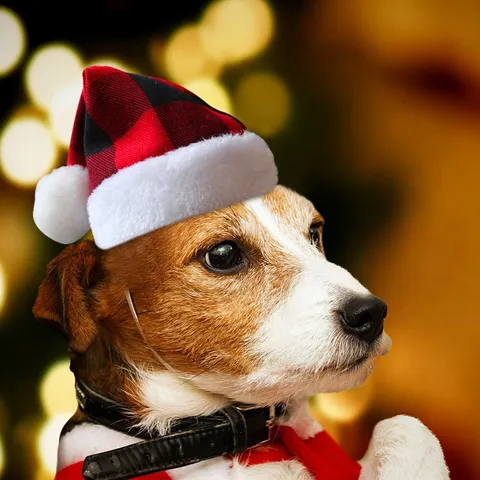 Festliche Haustier Weihnachtsmütze Kariert Buffalo Check Santa Hut Für Katzen Kleine Hunde Weihnachten Party Kostüm Zubehör