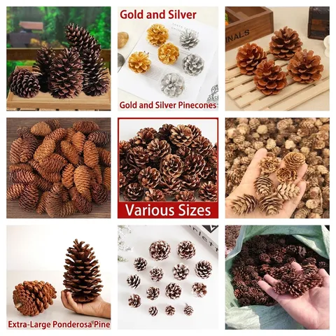 Natural Dried Pinecones For Christmas Decoration DIY Crafts Woodland Ornaments For Festive Home Wedding Party Ornaments