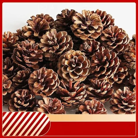 Natural Dried Pinecones For Christmas Decoration DIY Crafts Woodland Ornaments For Festive Home Wedding Party Ornaments