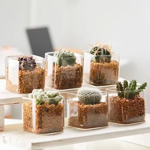Moderne Minimalistische Vierkante Succulentenpot Van Hoog Borosilicaatglas Grote Mond Transparante Cactuspot Bureau Plantenvaas Decoratie