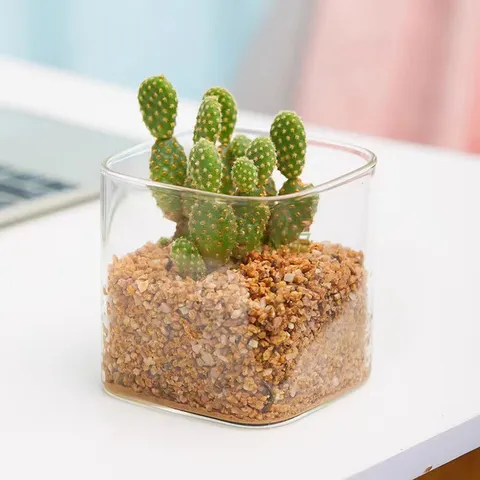 Moderne Minimalistische Vierkante Succulentenpot Van Hoog Borosilicaatglas Grote Mond Transparante Cactuspot Bureau Plantenvaas Decoratie