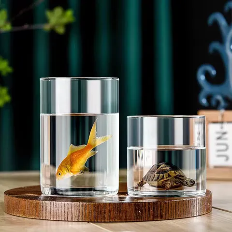 Borosilikatglas Zylindervase Für Hydrokulturpflanzen Moos Mikrolandschaft Transparent Klar Dekorative Desktop Flasche