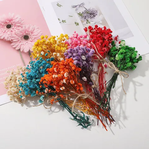 Sac de Matériel de Fleurs Séchées Naturelles Fleurs Éternelles Pour Cartes DIY Faites à la Main Accessoires de Décoration de Vientail Pétales d'Hortensia Gypsophila