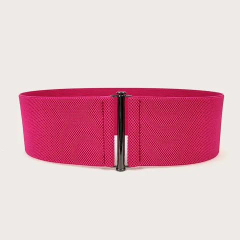 Women's Elastic Wide Belt For Dress Simple Versatile Waist Seal Stretchy Cinch Belt With Metal Buckle Fashion Accessory