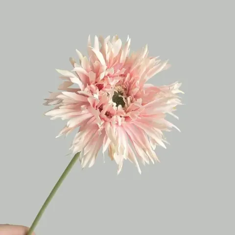 Artificial Single Stem Brushed Gerbera Daisy Silk Flower For Home Decor Modern Minimalist Shredded Petal Daisy Photography Prop