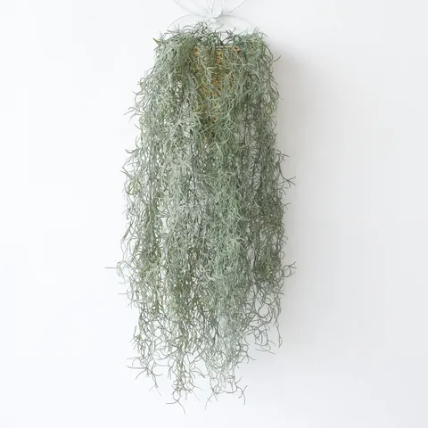 Artificial Hanging Air Plant Spanish Moss Soft Glue Vine For Home Cafe Bar Wall Decor Plastic Greenery Foliage Plant Garland