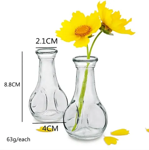 Style Ins Petit Vase en Verre Transparent Minimaliste Mini Vase à Fleurs en Forme de Poire pour Décoration de Bureau