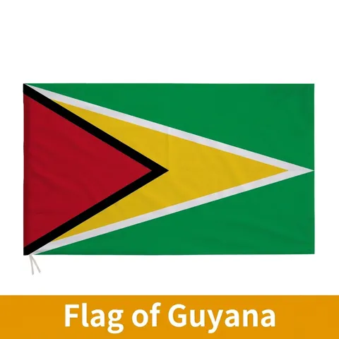 Guyana Nationalflagge Polyester Siebdruck Goldene Pfeilspitze Flagge Für Außen Innen Dekoration Feier Banner