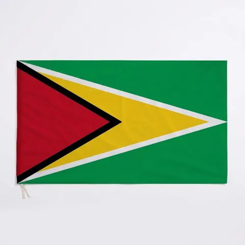 Guyana Nationalflagge Polyester Siebdruck Goldene Pfeilspitze Flagge Für Außen Innen Dekoration Feier Banner