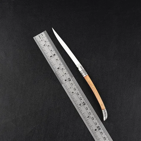 Portable Folding Fruit Knife Stainless Steel Outdoor Camping Pocket Knife Multi-Purpose Utility Small Knife Pocket Cutter