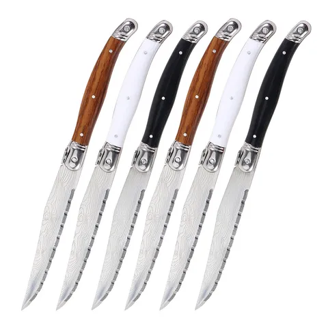 Stainless Steel Steak Knife With Serrated Blade Plastic Handle Western Table Knife For Kitchen And Dining