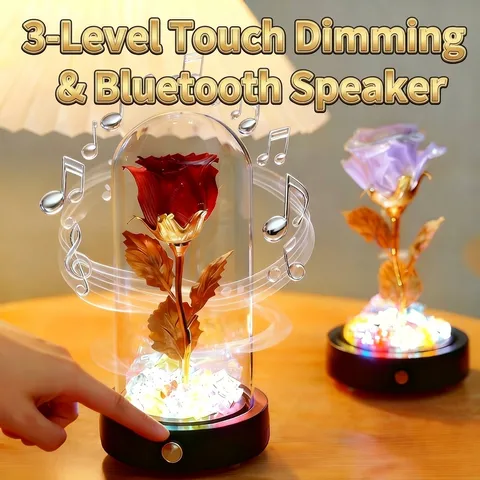 Rosa Stabilizzata Fiore Eterno Cupola di Vetro Luce LED Dimmerabile Touch Altoparlante Bluetooth Regalo Romantico San Valentino Decorazione