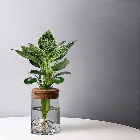 Jarrón Hidropónico de Vidrio de Borosilicato Con Base de Paisaje de Montaña Y Tapa de Corcho Cilindro Transparente Contenedor de Planta de Escritorio Para Decoración de Oficina Hogar