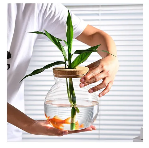 Transparent High Borosilicate Glass Hydroponic Vase Simple Desktop Small Plant Flower Container Clear Glass Bottle with Cork