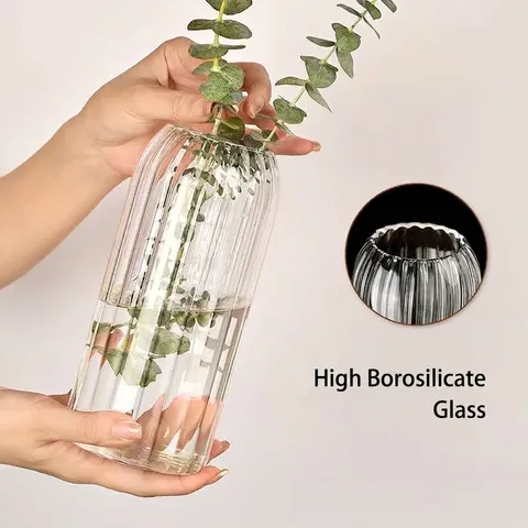 Transparentes Borosilikatglas Vase Großer Bauch Gerippt Hydrokultur Pflanzenflasche Minimalistisch Modern Desktop Dekorative Vase Für Zuhause Büro