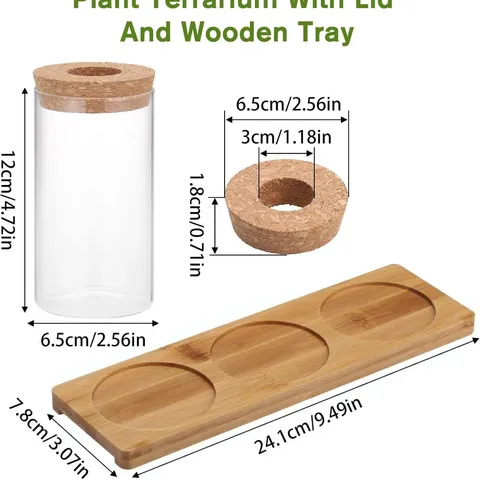 Set di Vasi per Piante Idroponiche in Vetro Trasparente Con Vassoio in Legno e Tappo di Sughero Decorazione per la Casa Minimalista