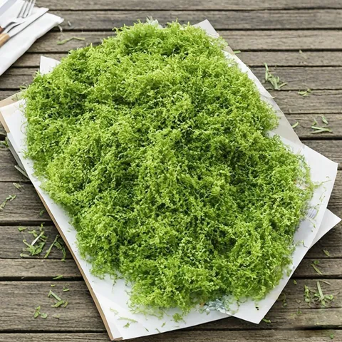 Artificial Moss Turf Synthetic Fake Green Grass For Micro Landscape Potted Plant Decoration Realistic Moss Sheet For Home Garden Outdoor Decor