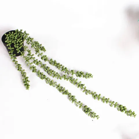 Planta Suculenta Colgante Artificial Lágrimas de Amante Cadena de Perlas Planta en Maceta Falsa Plástico Decoración Hogar