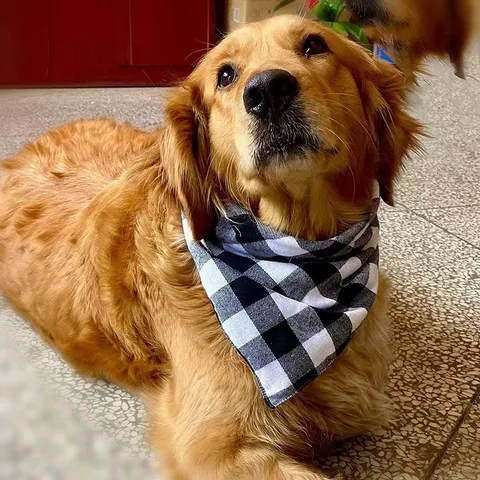 Bandana à Carreaux pour Animaux en Coton Foulard Triangulaire pour Chien Classique Foulard à Carreaux pour Chat Bavoirs Respirants pour Chiot Accessoires pour Animaux
