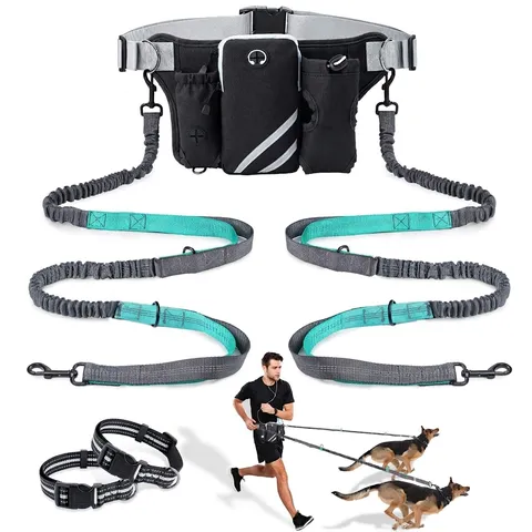Dog Leads
