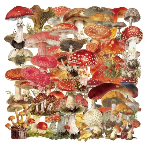 50 Pezzi Adesivi Trasparenti PET a Forma di Fungo Vintage Impermeabile Botanico Decalcomanie Decorative per DIY Scrapbook Laptop