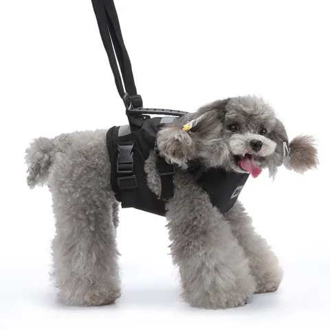 Set Pettorina e Guinzaglio per Cani in Nylon Multifunzione Regolabile Resistente Catarifrangente Traspirante con Maniglia di Controllo Comfort