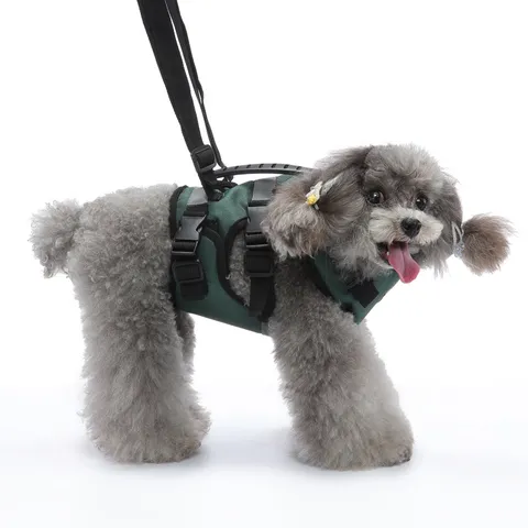 Set Pettorina e Guinzaglio per Cani in Nylon Multifunzione Regolabile Resistente Catarifrangente Traspirante con Maniglia di Controllo Comfort