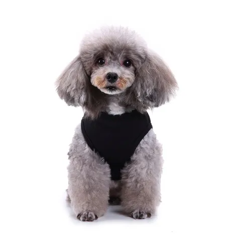 Ademende Katoenen Hondenvest Zomer Huisdier Kleding Hart Pootafdruk Puppy Tanktop Kleding Voor Kleine Honden Huisdierbenodigdheden
