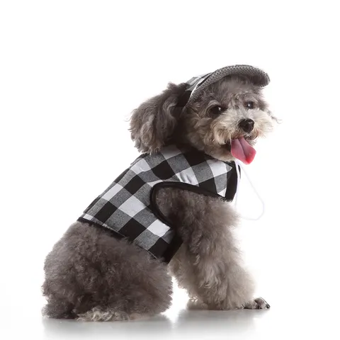 Breathable Mesh Pet Dog Harness And Leash Set Princess Style Plaid Vest With Cute Hat For Small Medium Dogs