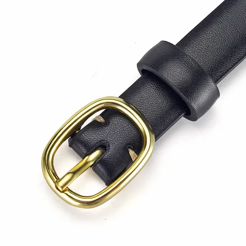 Women's Minimalist Slim Faux Leather Belt Fashion Alloy Pin Buckle Casual Dress Jeans Decorative Waist Belt