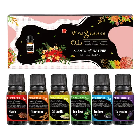 Conjunto De Aceites Esenciales De Extracto De Planta Natural Aceites Aromáticos De Aromaterapia Para Coche Hogar Y Oficina