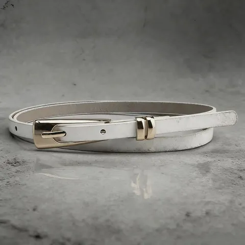 Women Fashion Thin Leather Belt Elegant Dress Suit Decorative Waist Belt PU Metal Pin Buckle Ladies Casual Waistband