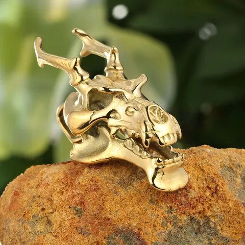 Punk Tierschädel Knochen Anhänger Für Damen Herren Gold Edelstahl Drachenkopf Schädel Halskette Charme Schmuck Geschenke